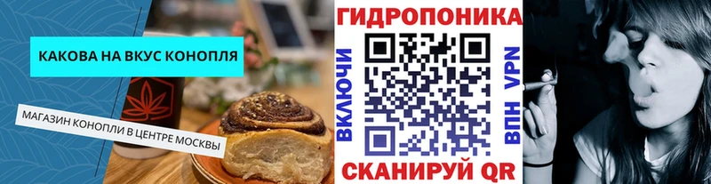 цена Губкин Cannafood конопля