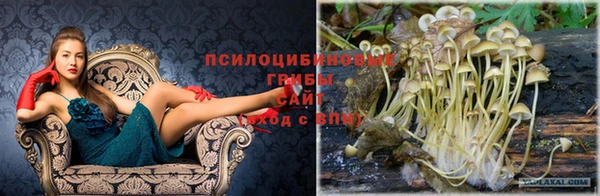 МДМА Алексин