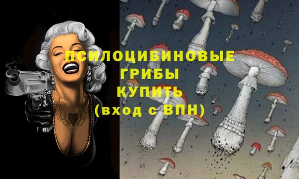 МДМА Алексин