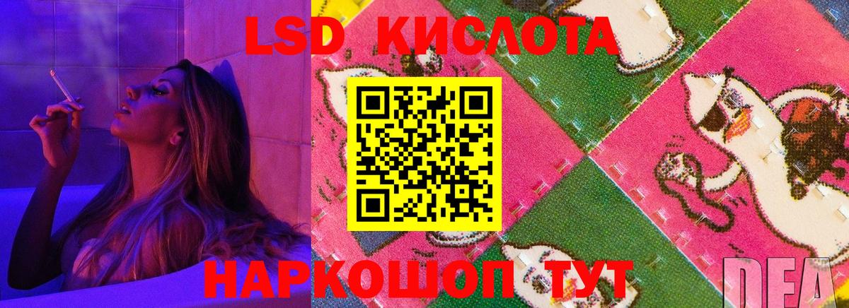 Губкин  ЛСД экстази кислота  Лсд 25 экстази  Лсд 25 экстази кислота  Вход с VPN 