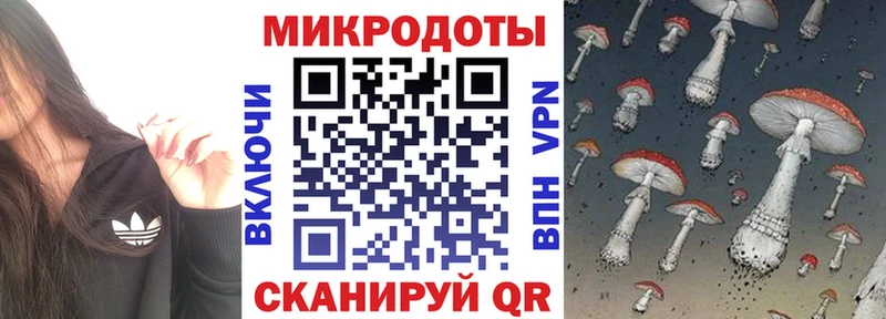Галлюциногенные грибы Magic Shrooms  купить наркоту  блэк спрут рабочий сайт  Губкин 
