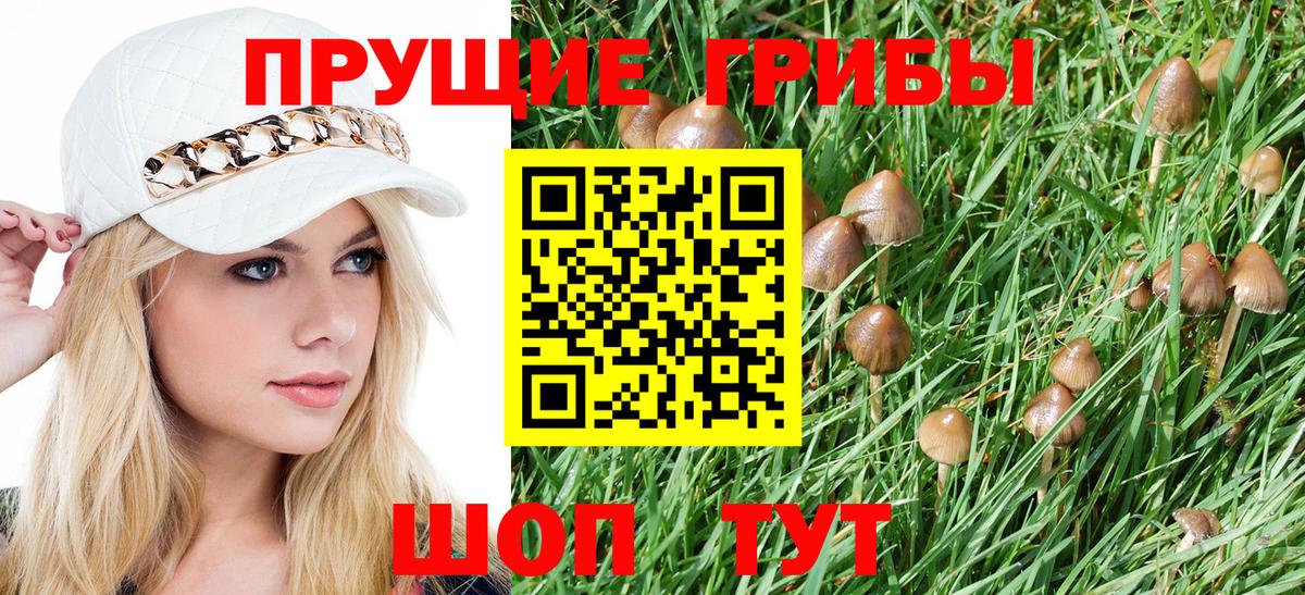 Галлюциногенные грибы GOLDEN TEACHER  Вход с VPN  Губкин 