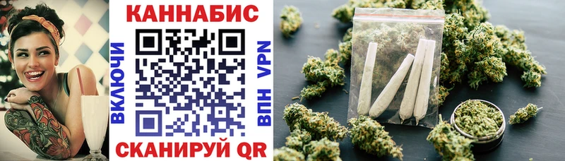 сколько стоит  Губкин  Канабис сатива 